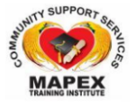 MTI Logo